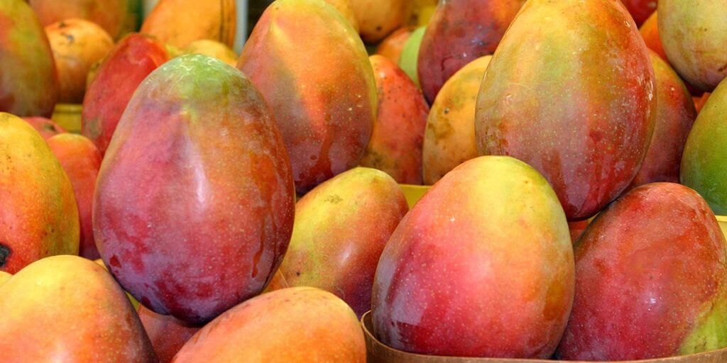 African Mango