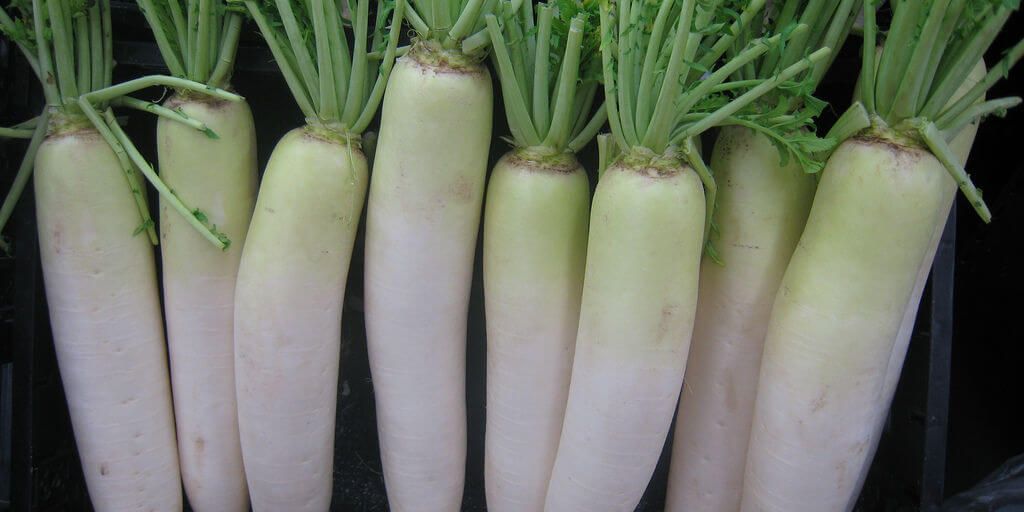 Daikon