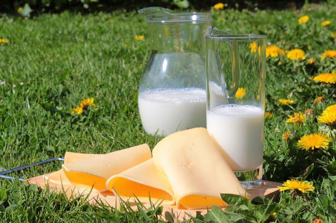 Calcium - milk & cheese